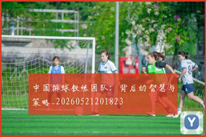 中国排球教练团队：背后的智慧与策略_20260521201823