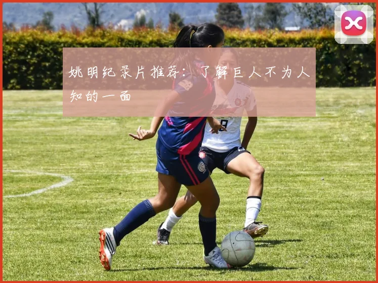 姚明纪录片推荐:了解巨人不为人知的一面