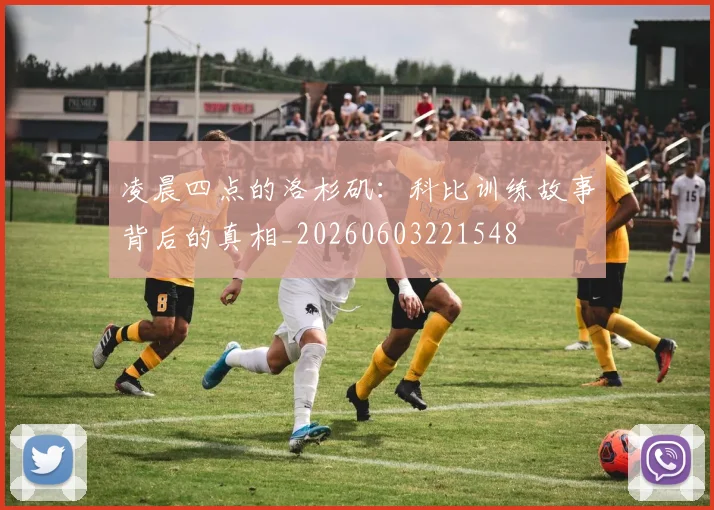 凌晨四点的洛杉矶：科比训练故事背后的真相_20260603221548