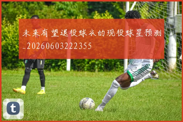 未来有望退役球衣的现役球星预测_20260603222355